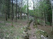 Salita da S. Pellegrino al Monte Zucco lungo il ripido sentiero panoramico EE l'11 aprile 09   - FOTOGALLERY